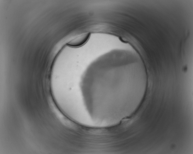 X0000115171434200911251324