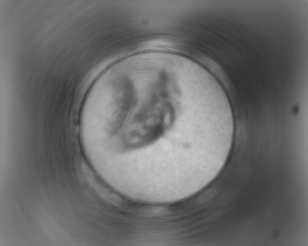 X0000115171435200911251324