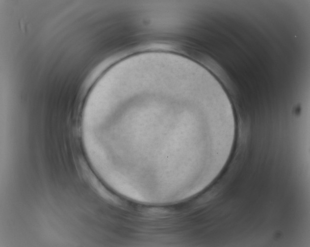 X0000115171436200911251324