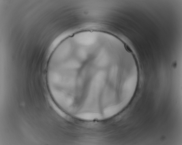 X0000115171437200911251324