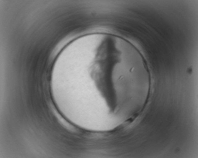 X0000115171438200911251324