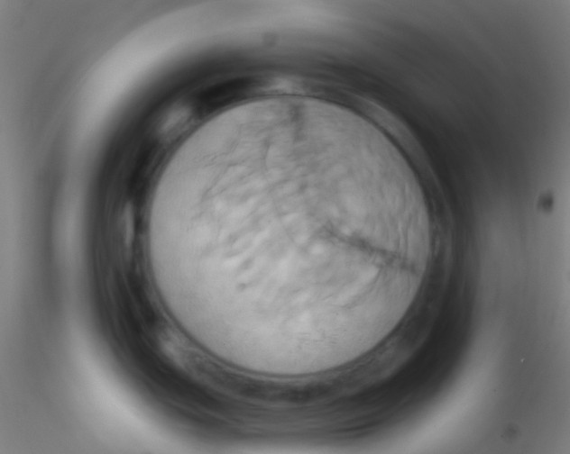 X0000115171439200911251324