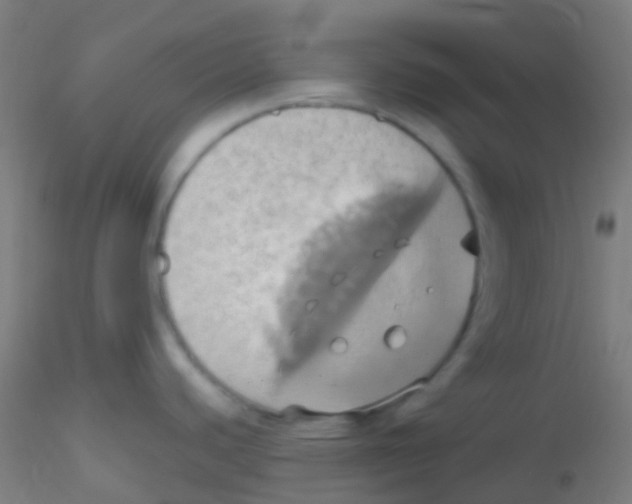 X0000115171440200911251324