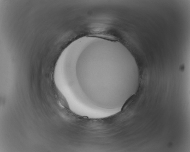 X0000115171441200911251323