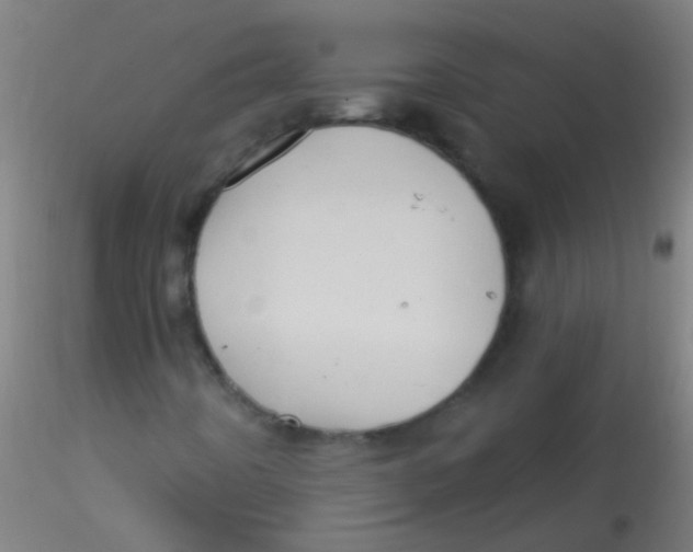 X0000115171442200911251323