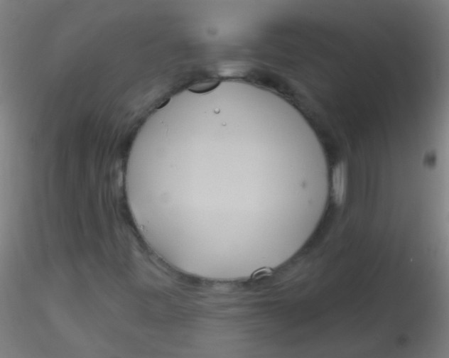 X0000115171443200911251323