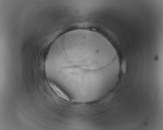 X0000115171444200911251323