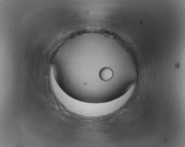 X0000115171445200911251323