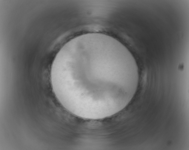 X0000115171446200911251323