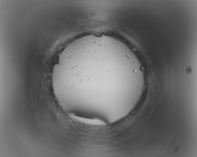 X0000115171447200911251323