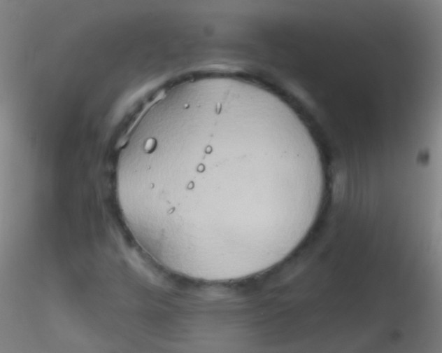 X0000115171448200911251323