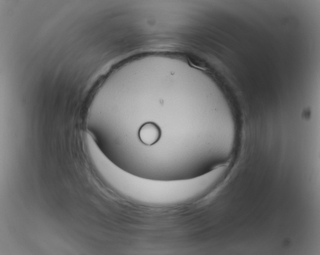 X0000115171449200911251323