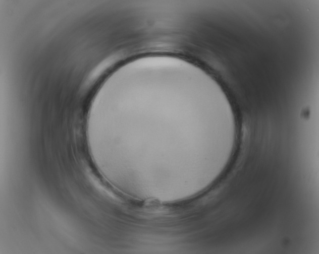 X0000115171450200911251323