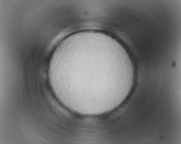 X0000115171451200911251323