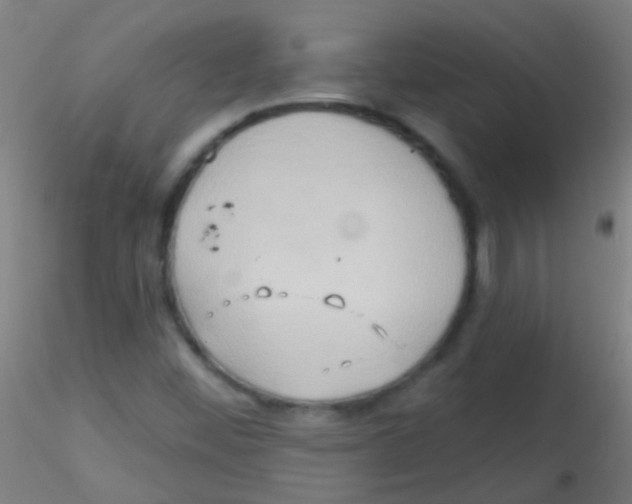 X0000115171452200911251323