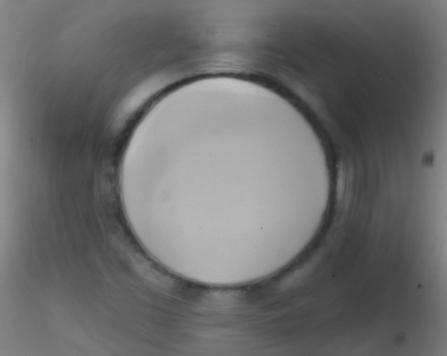 X0000115171453200911251323