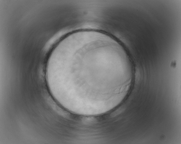 X0000115171454200911251323