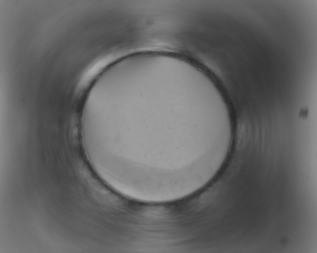 X0000115171455200911251323