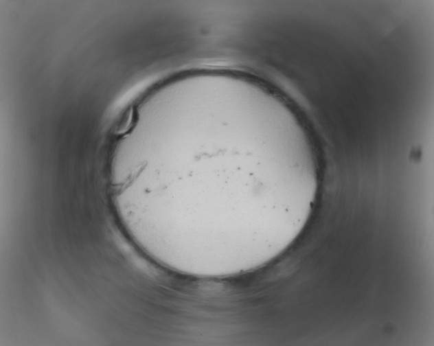 X0000115171456200911251323