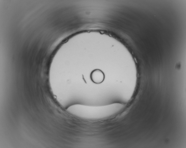 X0000115171457200911251323