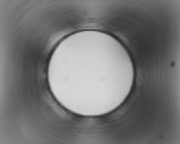 X0000115171458200911251323