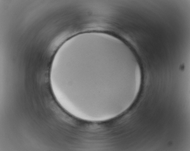 X0000115171459200911251323