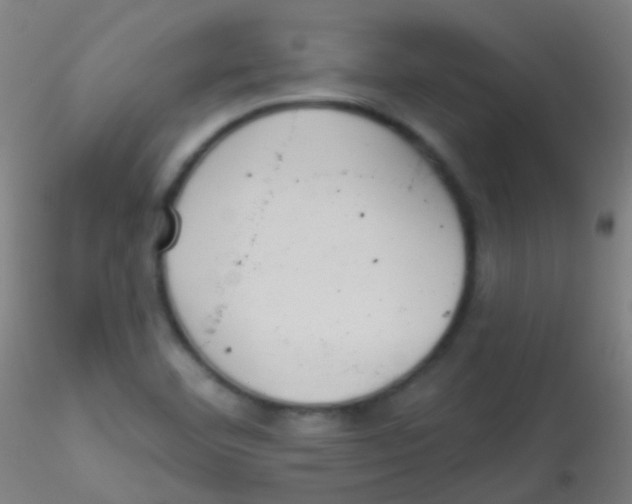 X0000115171460200911251323