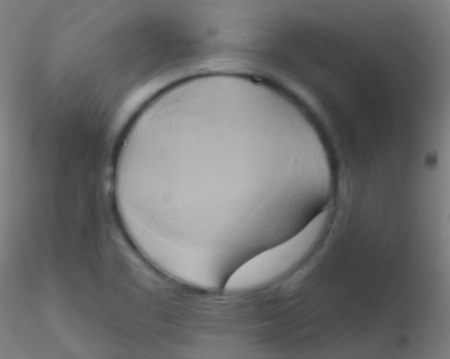 X0000115171461200911251323