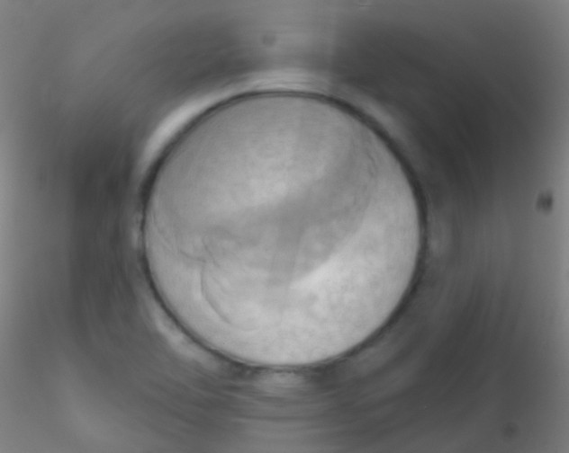 X0000115171462200911251323