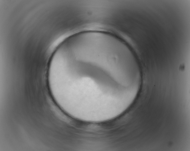 X0000115171463200911251323