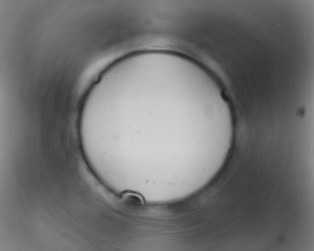 X0000115171464200911251323