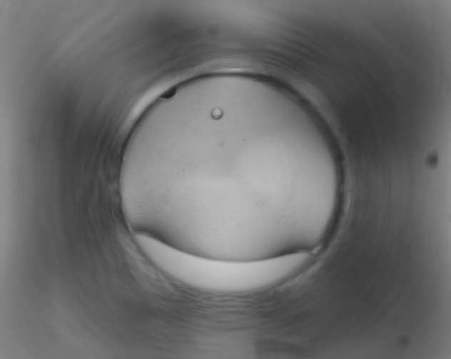 X0000115171465200911251323