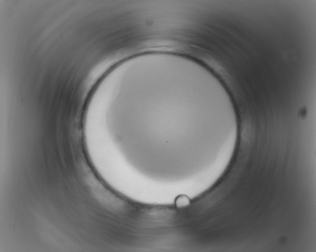 X0000115171466200911251323