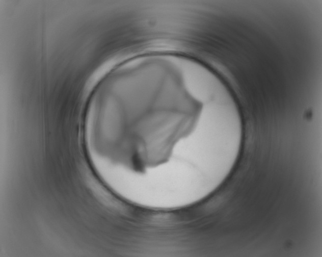 X0000115171467200911251323