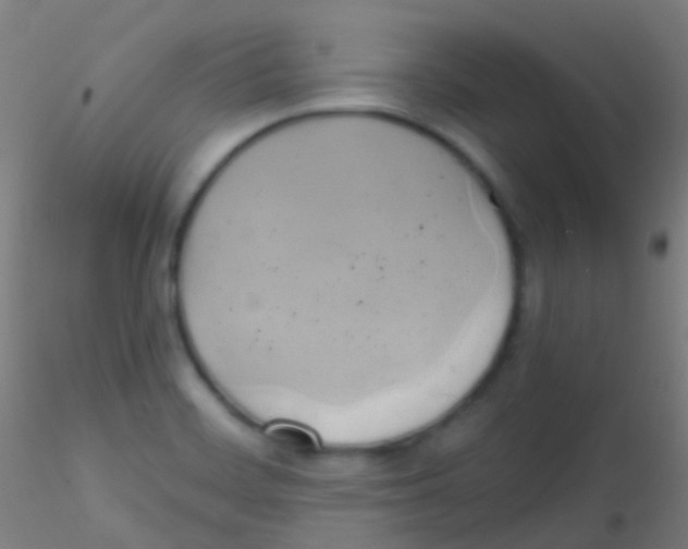 X0000115171468200911251323