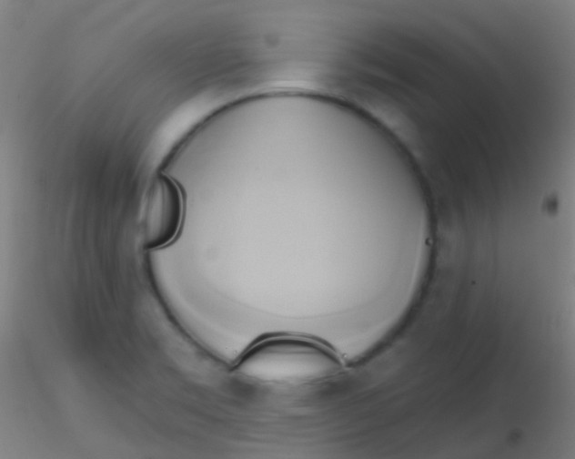 X0000115171469200911251323