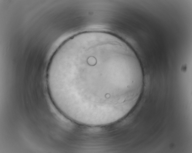 X0000115171470200911251323