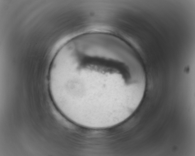 X0000115171471200911251322