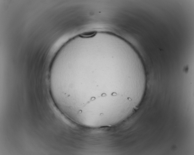 X0000115171472200911251322