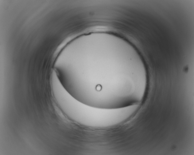 X0000115171473200911251322