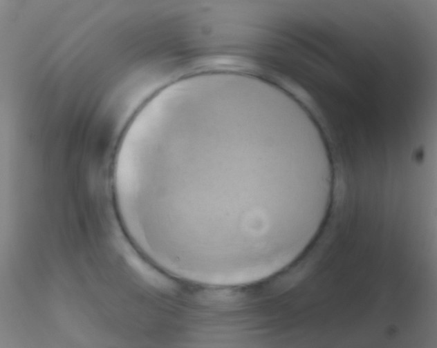 X0000115171474200911251322