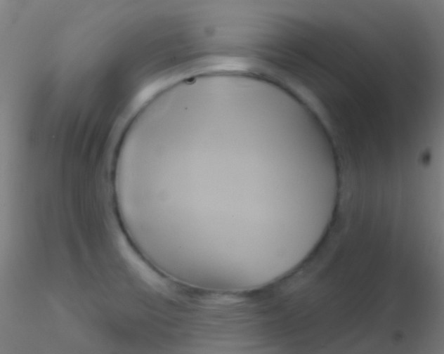 X0000115171475200911251322