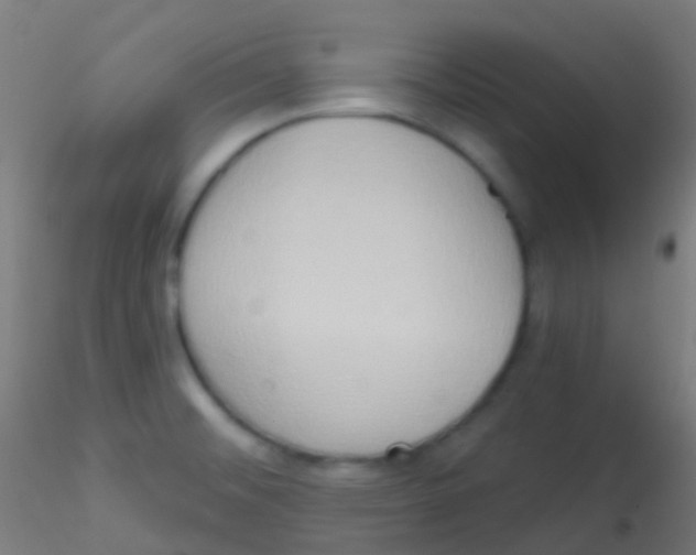 X0000115171476200911251322