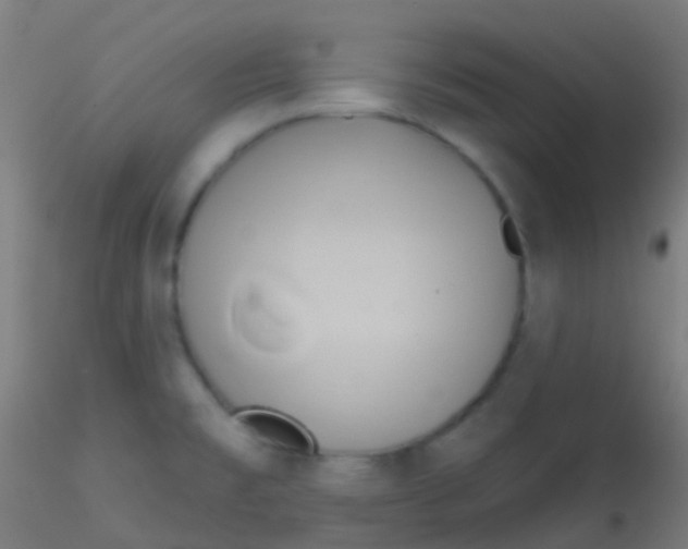 X0000115171477200911251322