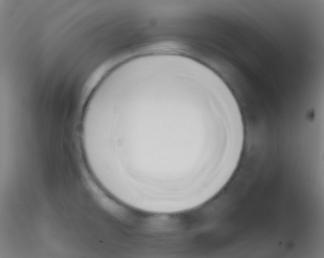 X0000115171478200911251322