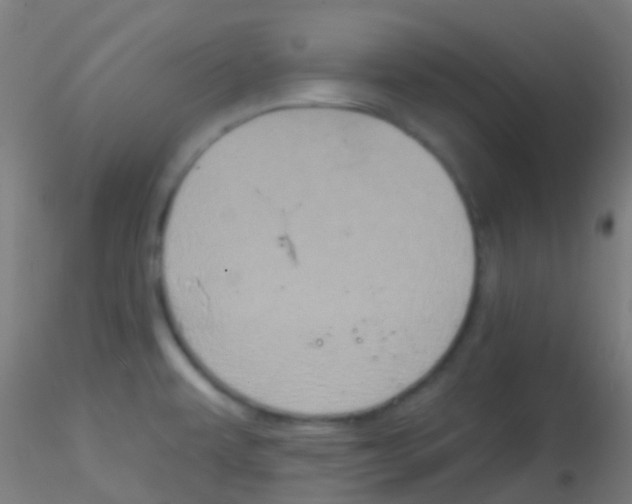 X0000115171479200911251322