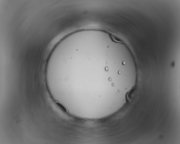 X0000115171480200911251322