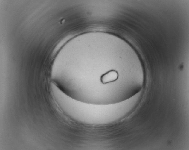 X0000115171481200911251322