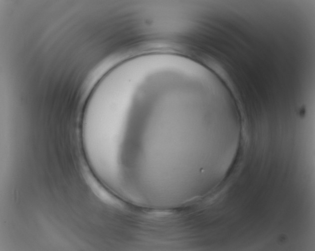 X0000115171482200911251322