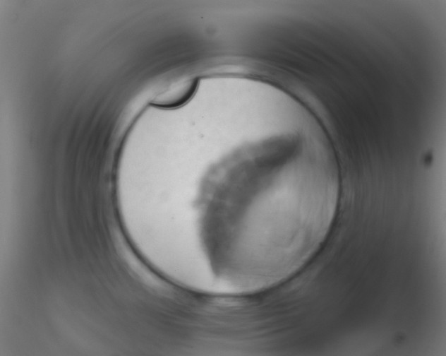 X0000115171483200911251322